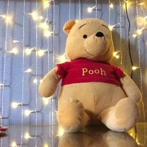 2018 Winnie the Pooh for sale